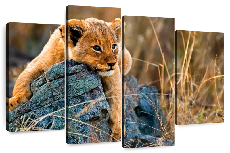 Safari Lion Cub Wall Art