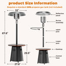 Pyra Mesa Patio Heater 50,000 BTU