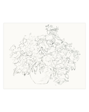 Vase of Flowers Sketch