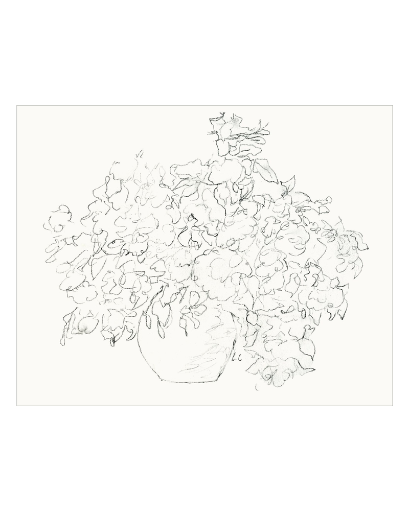 Vase of Flowers Sketch