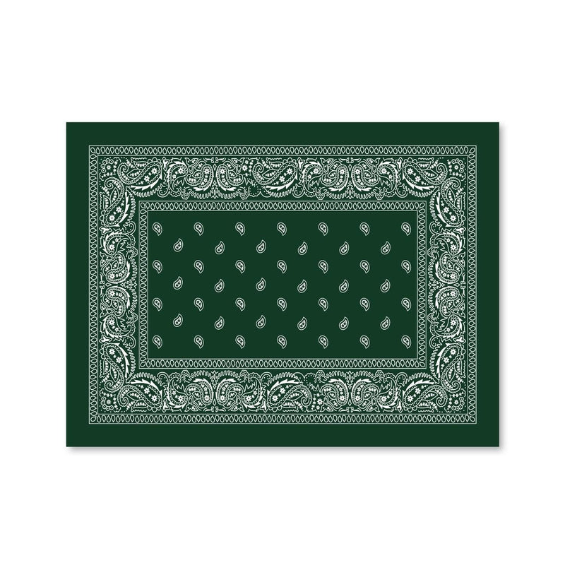 Paisley Bandana - Green Canvas