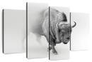 Wild Bison Wall Art