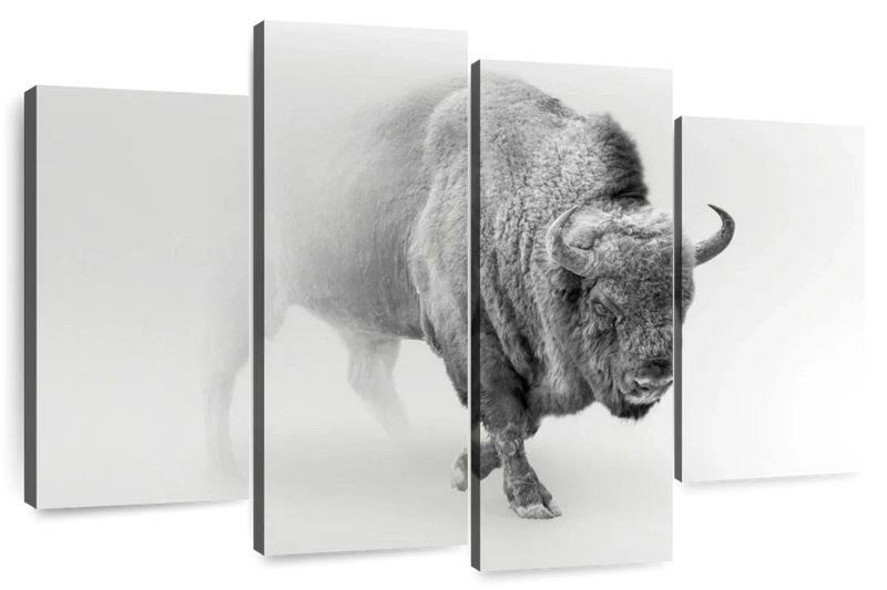 Wild Bison Wall Art