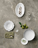 Palladium Grey Sapienstone