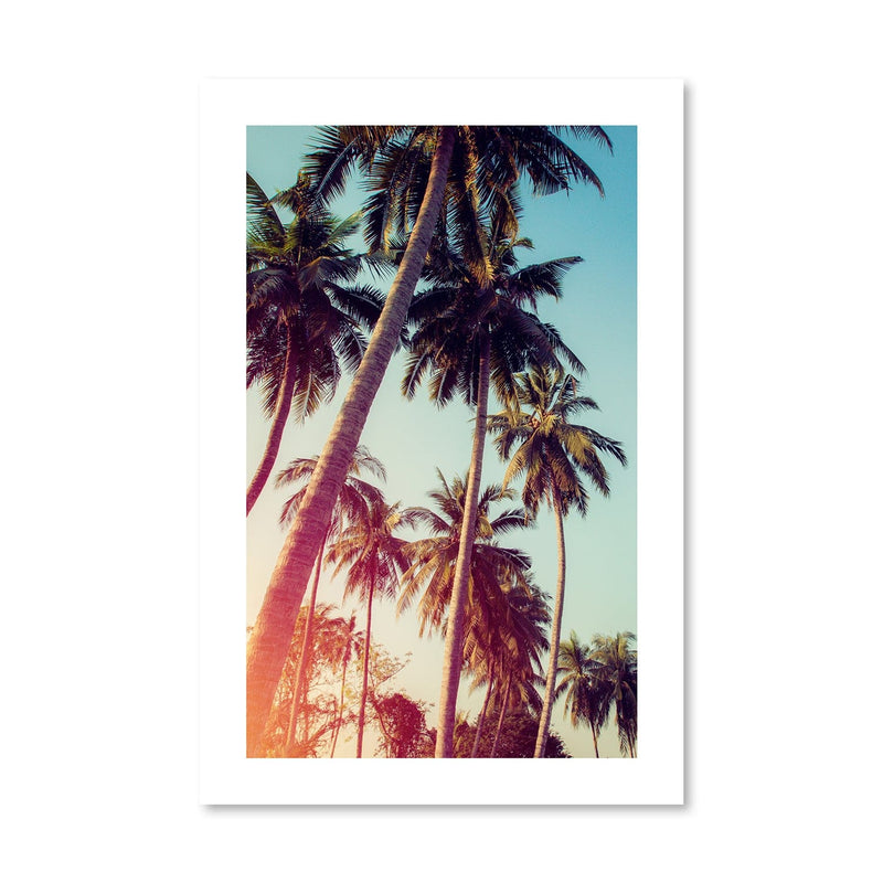 Palm Paradise Print