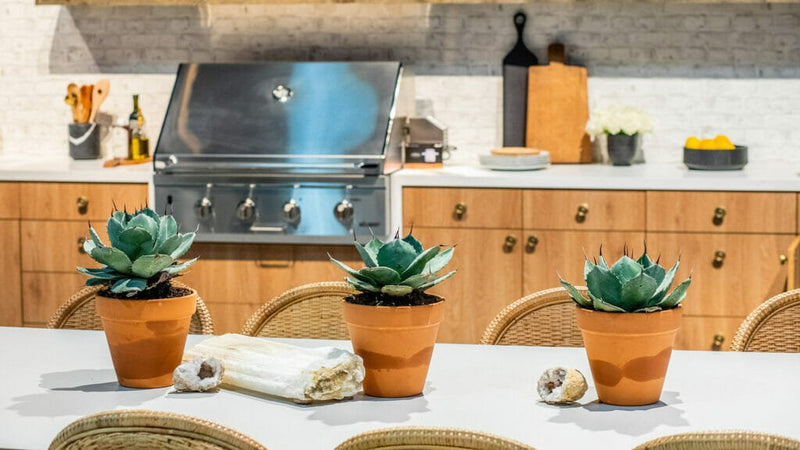 Palm Shade Caesarstone