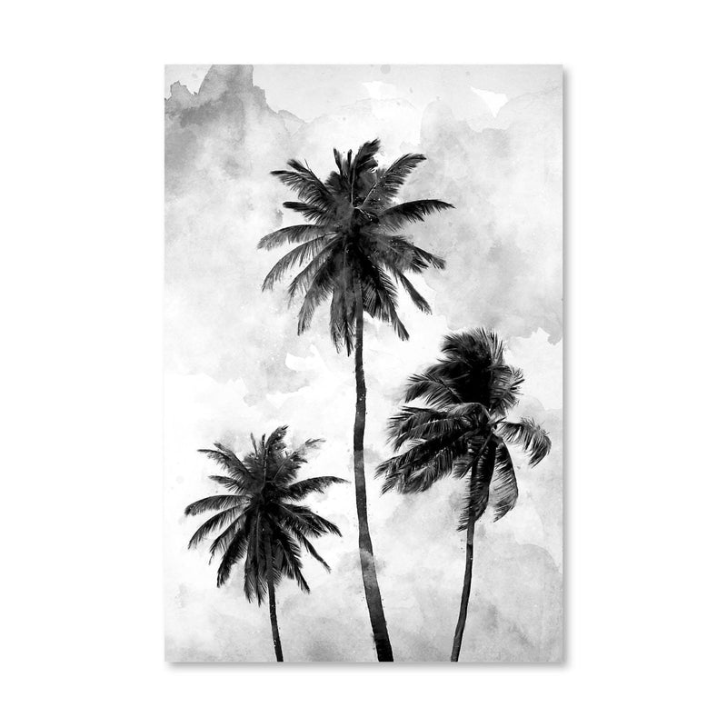 Palm Skies Canvas