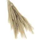 Pampas Grass Sprays by Lee Display