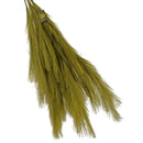 Pampas Grass Sprays by Lee Display