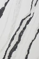 Panda Black Raphael Quartz