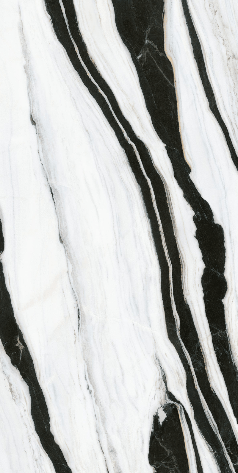 Panda White Infinity