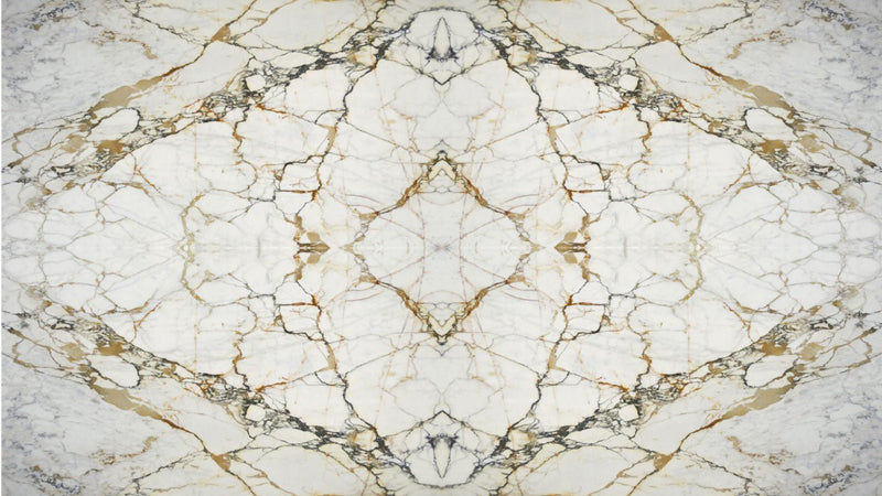 Paonazzo Marble