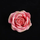 Pastel 30pcs silk roses wedding and living room floral decor by Decorbites