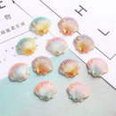 Pastel iridescent pearl shells beach decor embellishments bedroom art by Decorbites