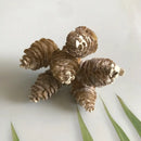 Pastel pinecone artificial flower wreath for living room decor by Decorbites