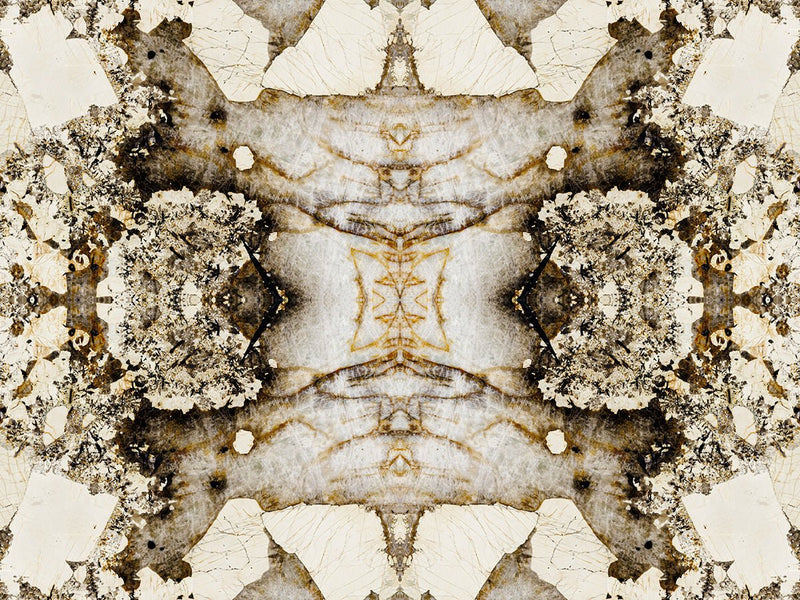 Patagonia Extra Granite