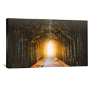 Path of Light Canvas