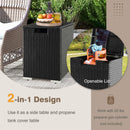 2-in-1 Patio Rattan Gas Propane Tank Cover for 20 lbs Propane Tanks by LJGDeals