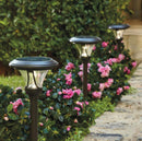 Patriot Oswego Solar Pathway Lights 6 Lumen  8-Pack