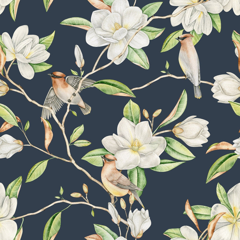 Blooming Magnolia Flowers Wallpaper