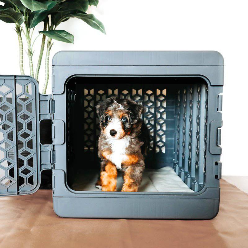 PAWD®  Modern Collapsible Dog Crate