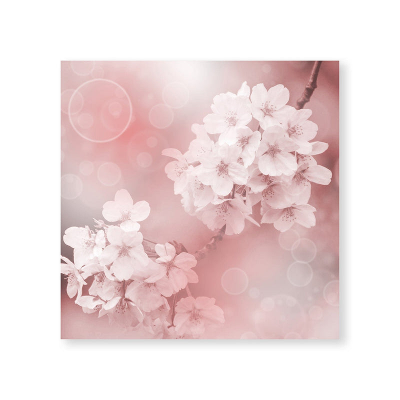 Peaceful Blossoms Canvas