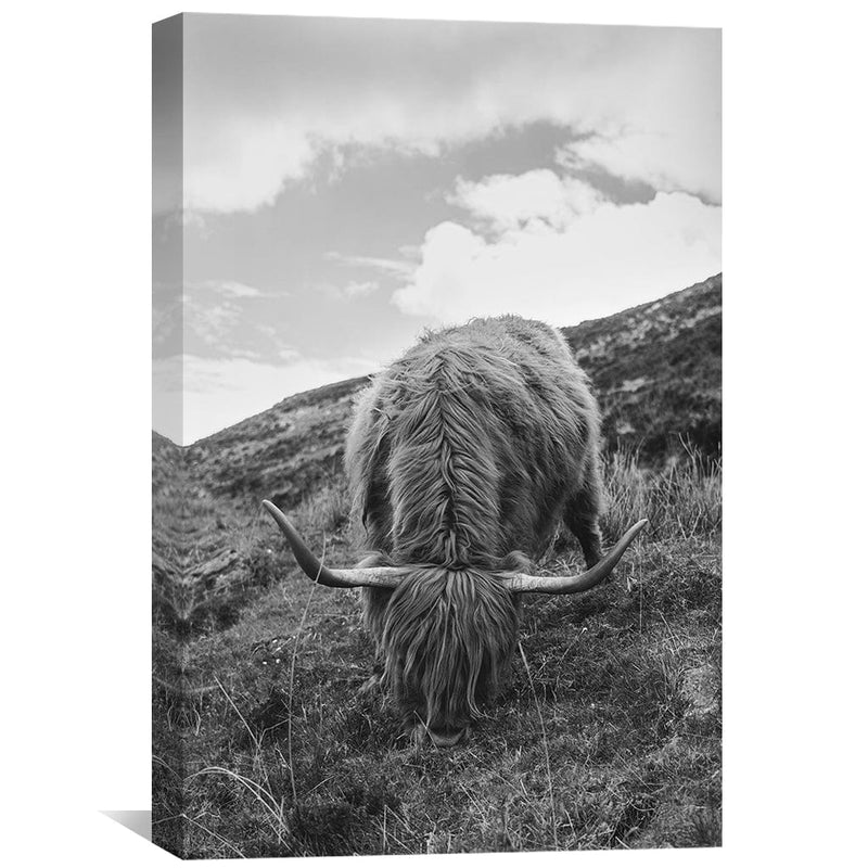 Peaceful Highland Canvas