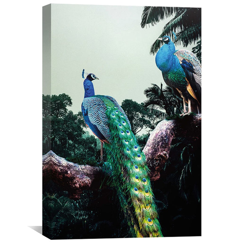 Peacock Duo Canvas