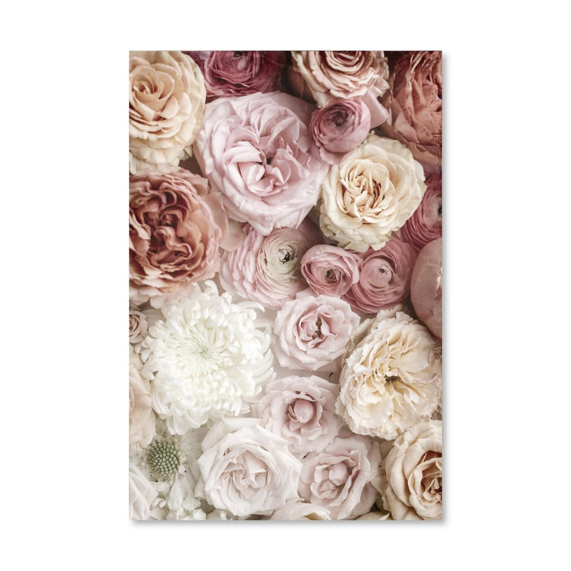 Peonies Canvas