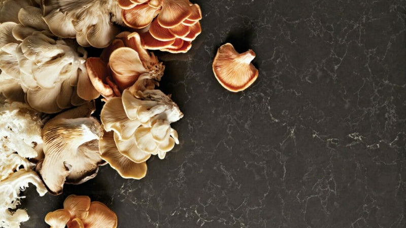 Piatra Grey Caesarstone