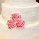 Pink butterfly silicone fondant mold kitchen cake decorating tool by Decorbites