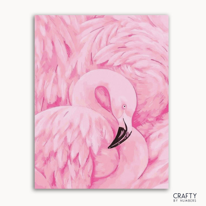 Pink Crane Bird