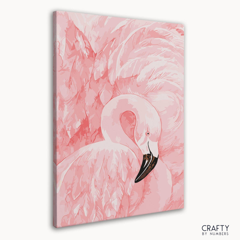 Pink Crane Bird