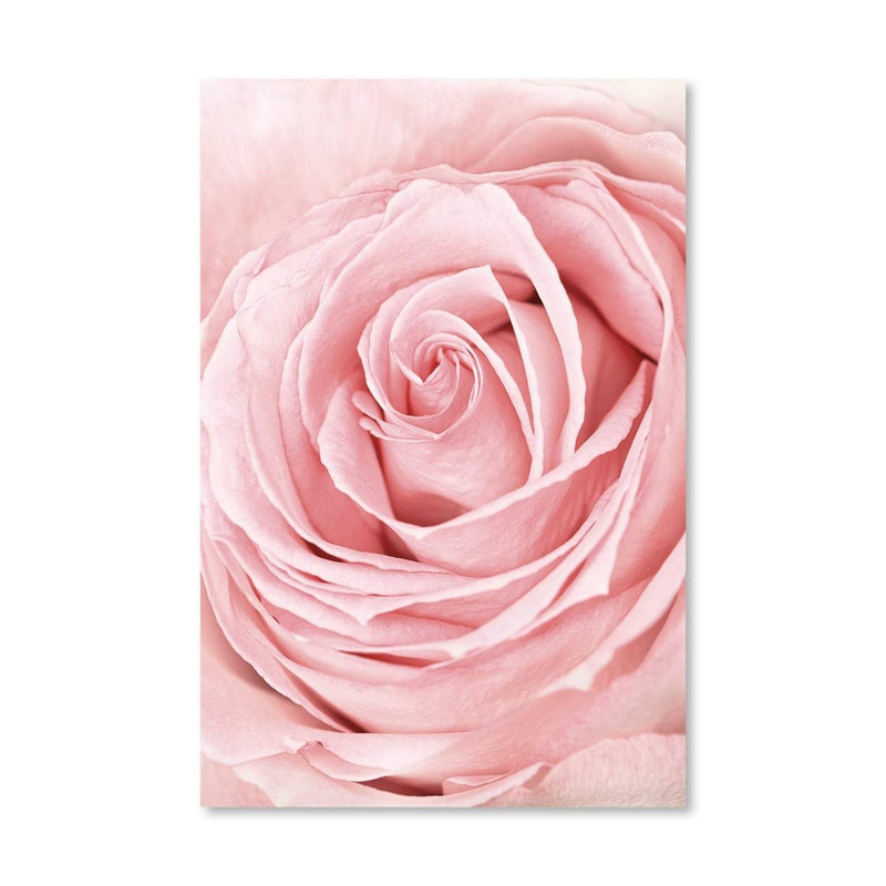 Pink Flower Canvas