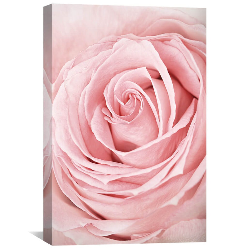 Pink Flower Canvas