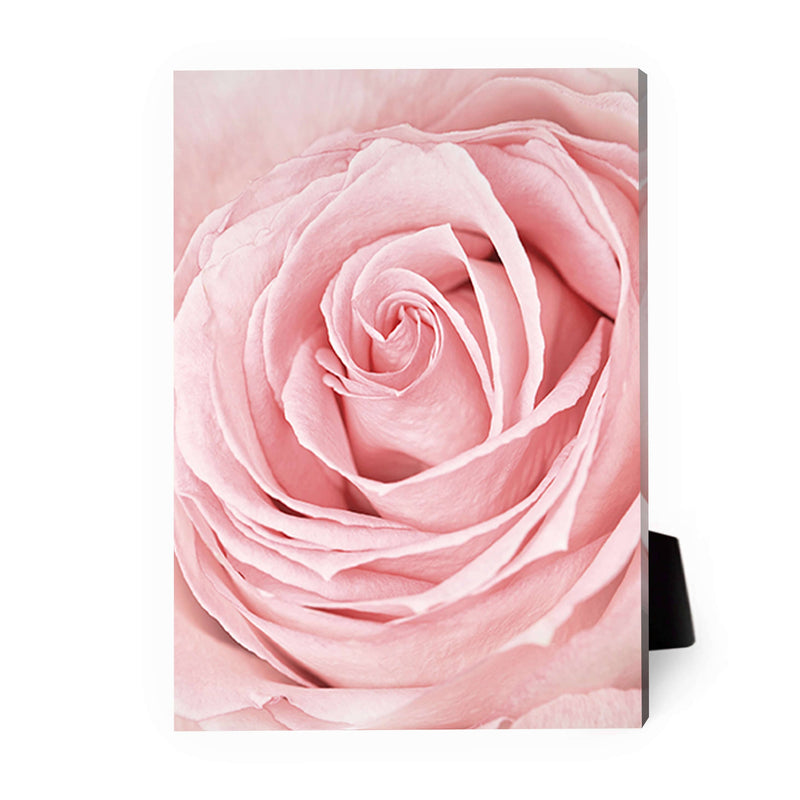 Pink Flower Desktop Canvas