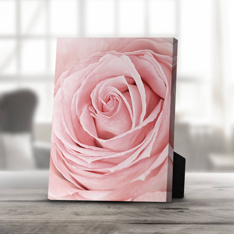 Pink Flower Desktop Canvas