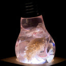EP LIGHT - Pink Hydrangea by EP Designlab LLC