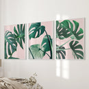 Pink Botanical 3 Piece Wall Art. Green Monstera Leaves Print by Wall Art Set