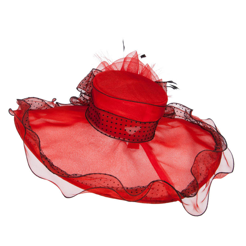 Polka Dot Ruffle Organza Hat