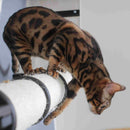 The Plateau - Horizontal Cat Scratcher Bed Set