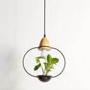 Plant Chandelier