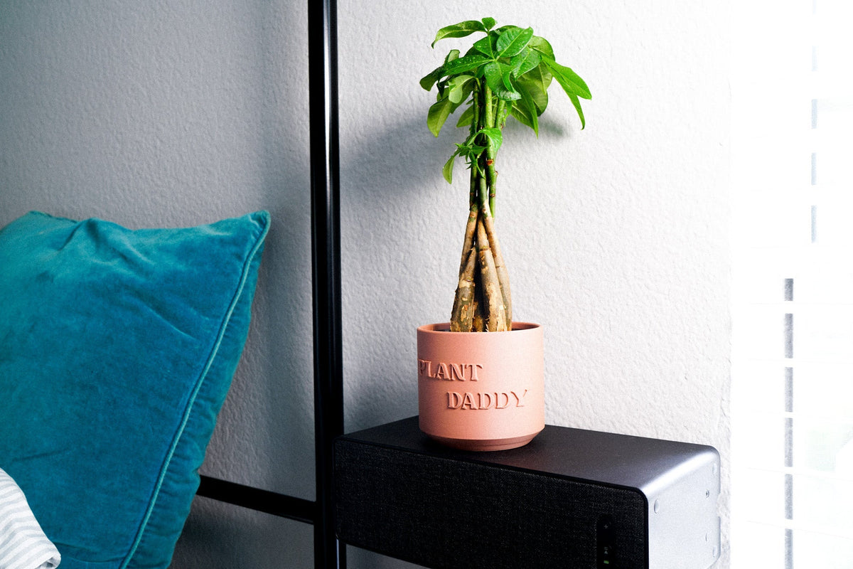Plant Daddy Planter, photo 7 of 13