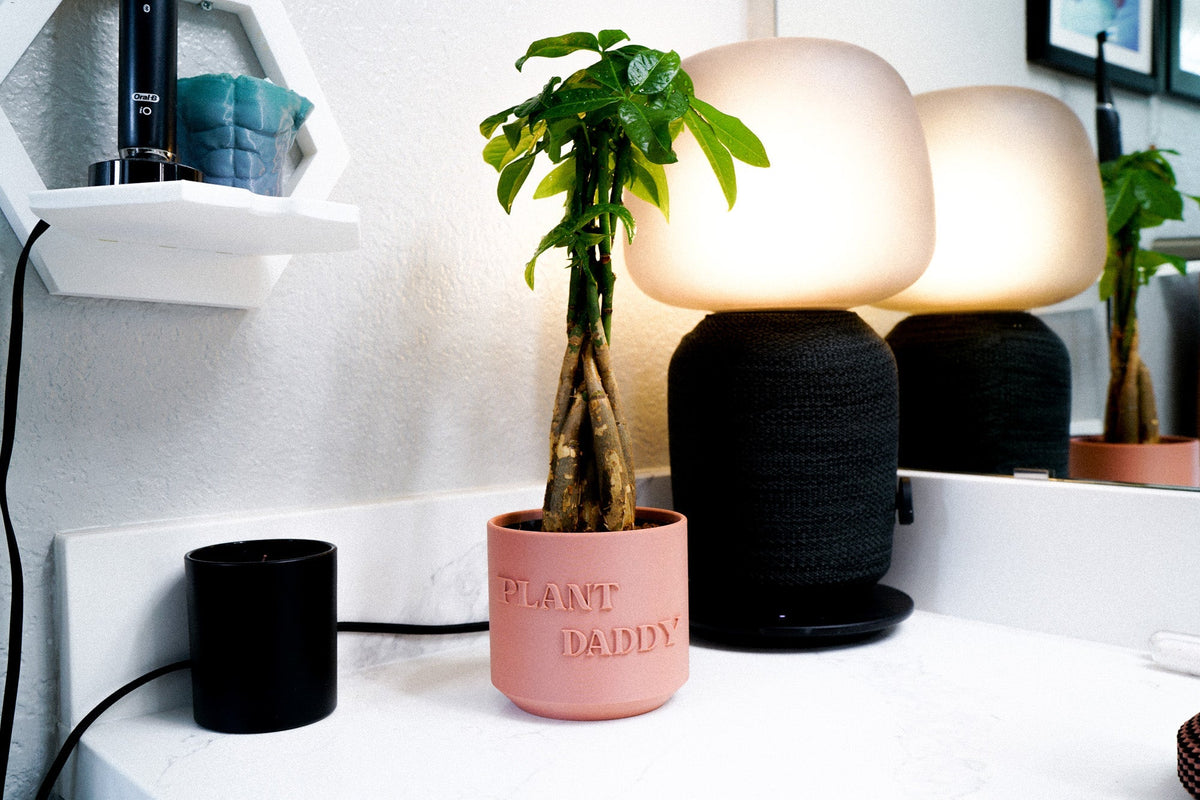 Plant Daddy Planter, photo 3 of 13