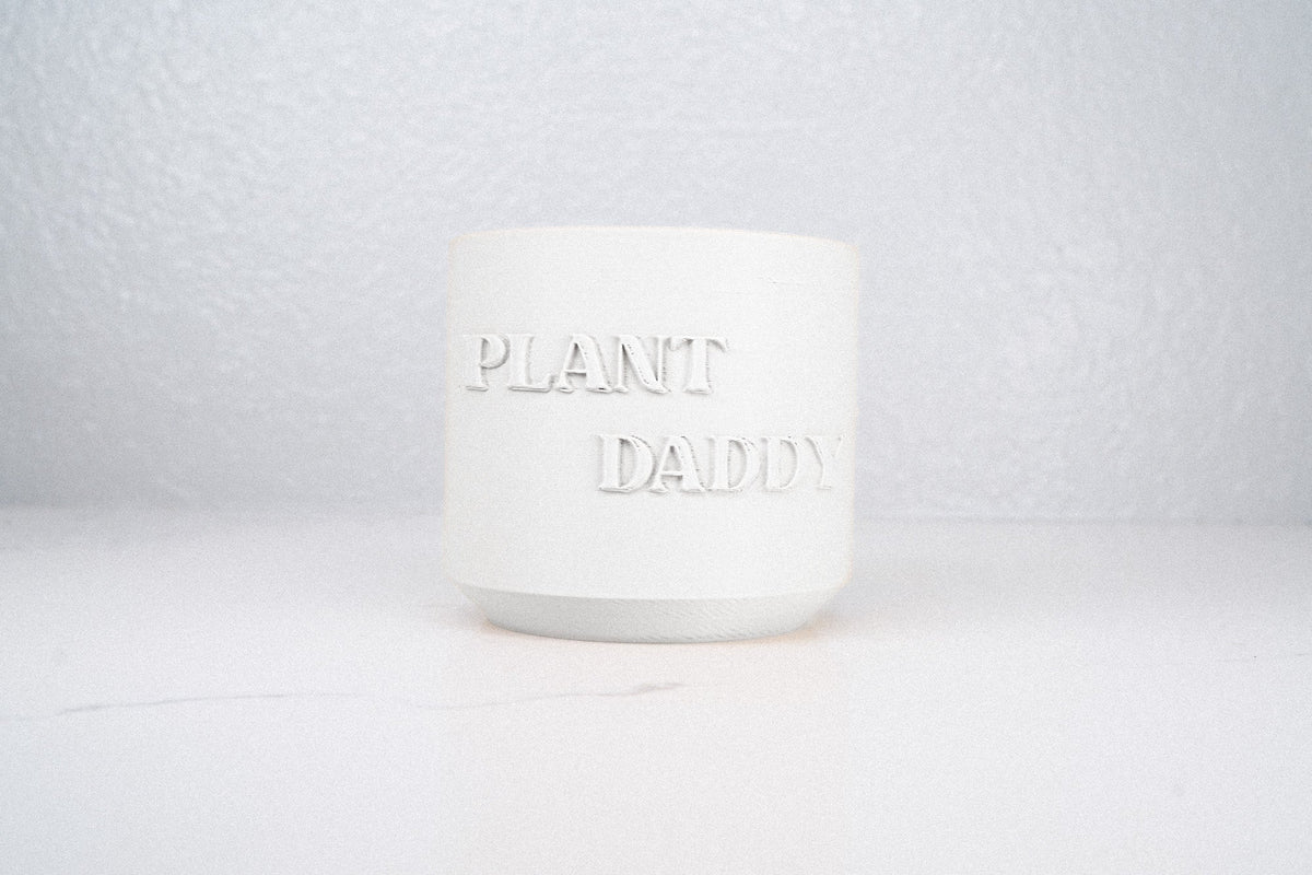 Plant Daddy Planter, photo 10 of 13