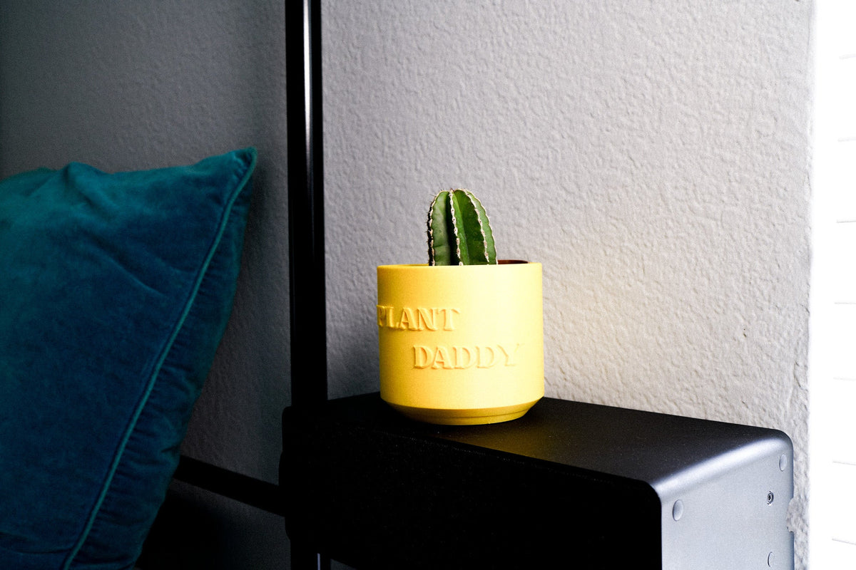 Plant Daddy Planter, photo 6 of 13