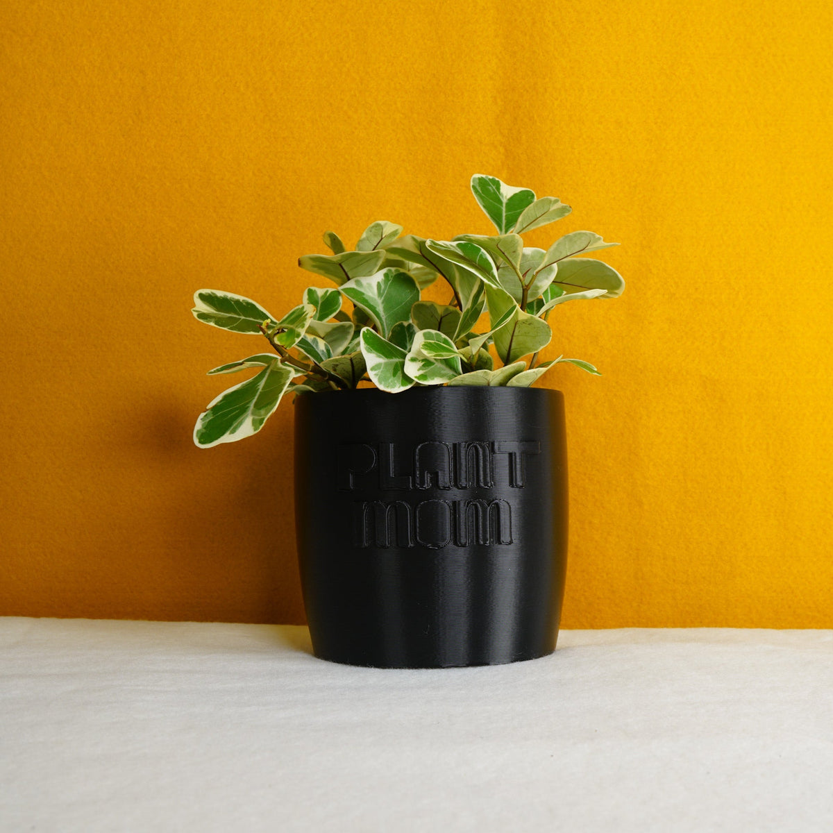 Plant Mom Planter, photo 7 of 8