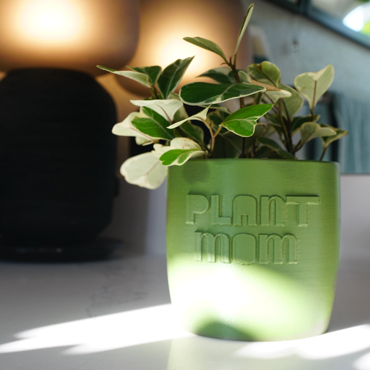 Plant Mom Planter, photo 2 of 8