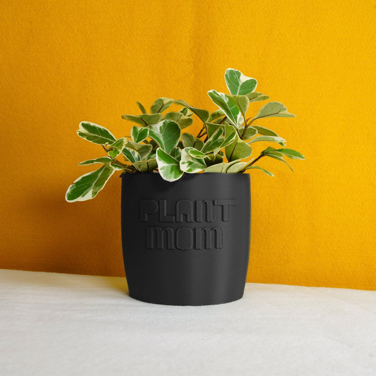 Plant Mom Planter, photo 5 of 8