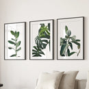Botanical Set of 3 Prints. Tropical Monstera, Rubber Plant by Wall Art Set